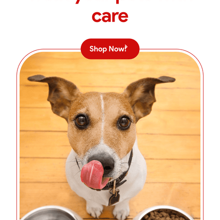 Party Bag Treat Blend 1lb - Homemade Dog Treats