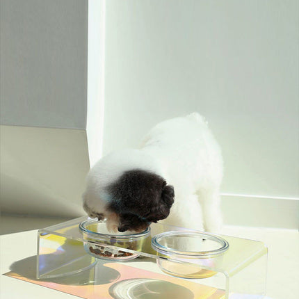 Acrylic Glass Pet Dazzling Food Bowl