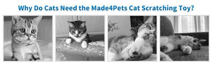 Indoor Cat Soft Scratching Board And Interactive Ball Track Toy Cat Rest And Grooming Supplies