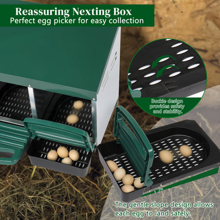 3-compartment Chicken Feeding Trough