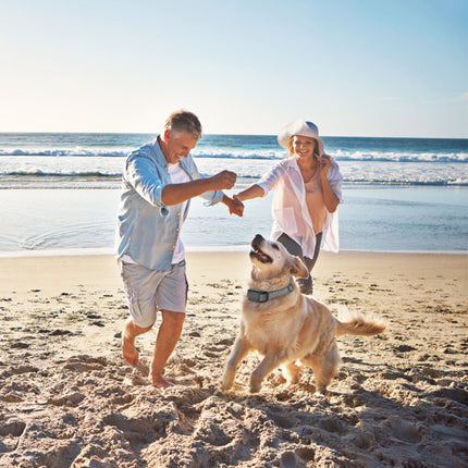 1Pc Citronella Bark Collar For Dogs Spray Bark Collar Anti Barking Control For Small Medium Large Dogs IP65 Waterproof No Electric Shocks