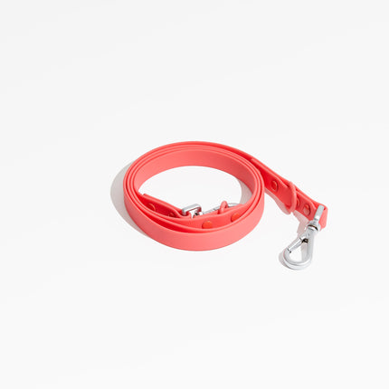 Luxe Leash - Poppy