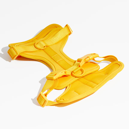 Luxe Harness - Soleil