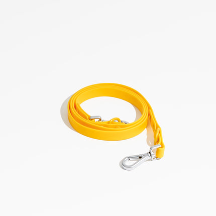 Luxe Leash - Soleil