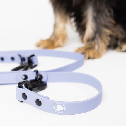 The Modern Dog Company - Lavender Purple Adjustable Leash