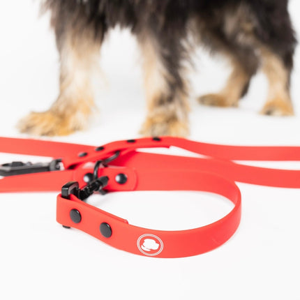 The Modern Dog Company - Ruby Red Adjustable Leash