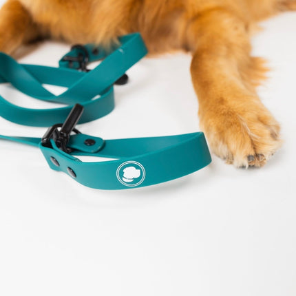 The Modern Dog Company - Forest Green Adjustable Leash