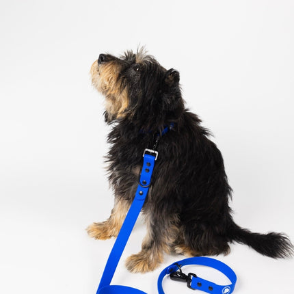 The Modern Dog Company - Royal Blue Leash (Weather + Odor Resistant)