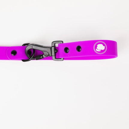The Modern Dog Company - Electric Fuchsia Leash (Weather + Odor Resistant)