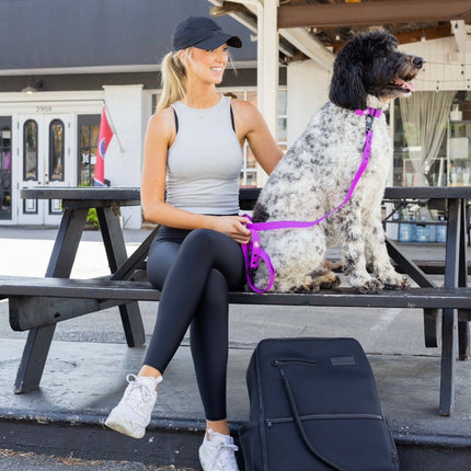 The Modern Dog Company - Electric Fuchsia Collar (Weather + Odor Resistant)