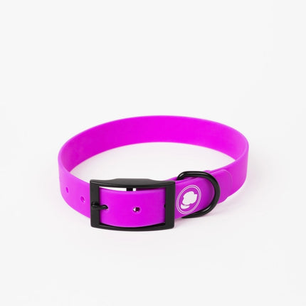 The Modern Dog Company - Electric Fuchsia Collar (Weather + Odor Resistant)