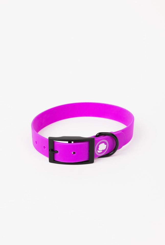 The Modern Dog Company - Electric Fuchsia Collar (Weather + Odor Resistant)