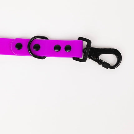 The Modern Dog Company - Electric Fuchsia Leash (Weather + Odor Resistant)