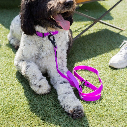 The Modern Dog Company - Electric Fuchsia Leash (Weather + Odor Resistant)
