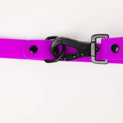 The Modern Dog Company - Electric Fuchsia Leash (Weather + Odor Resistant)