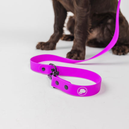 The Modern Dog Company - Electric Fuchsia Leash (Weather + Odor Resistant)