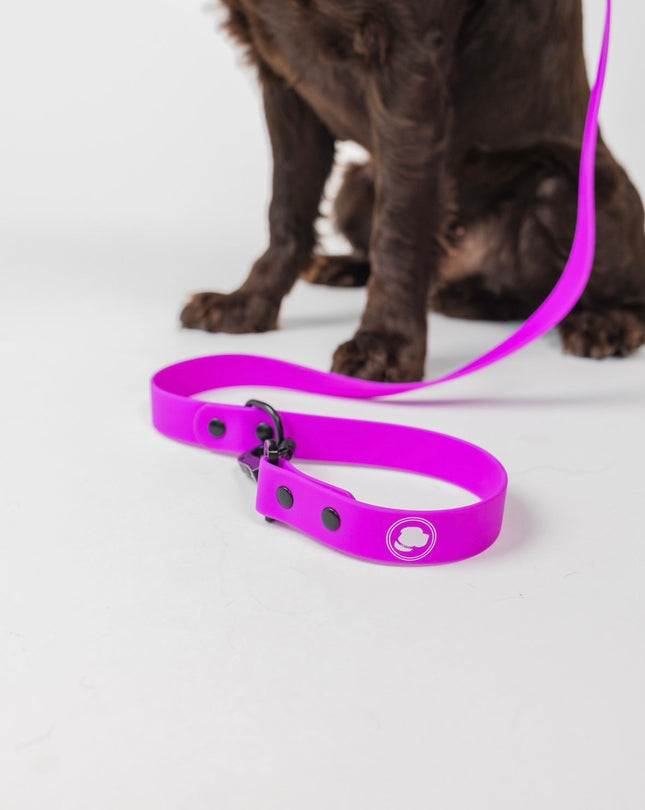 The Modern Dog Company - Electric Fuchsia Leash (Weather + Odor Resistant)