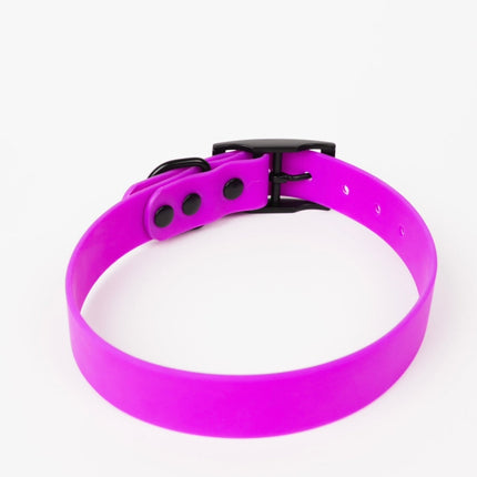 The Modern Dog Company - Electric Fuchsia Collar (Weather + Odor Resistant)