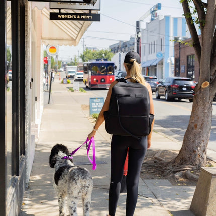 The Modern Dog Company - Electric Fuchsia Collar (Weather + Odor Resistant)