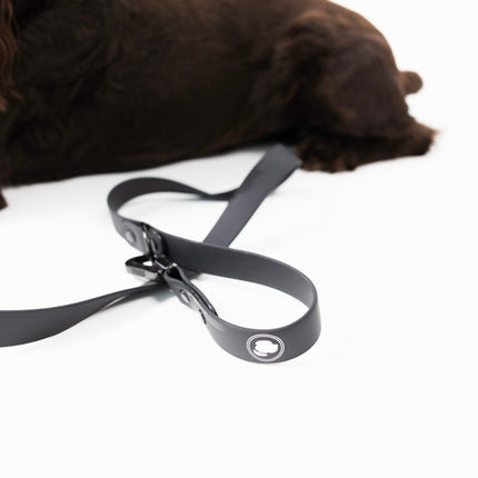 The Modern Dog Company - Better in Black Leash