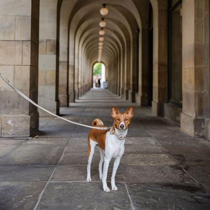 Leash 4ft - Vegan Leather