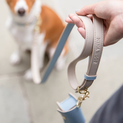 Leash 4ft - Vegan Leather