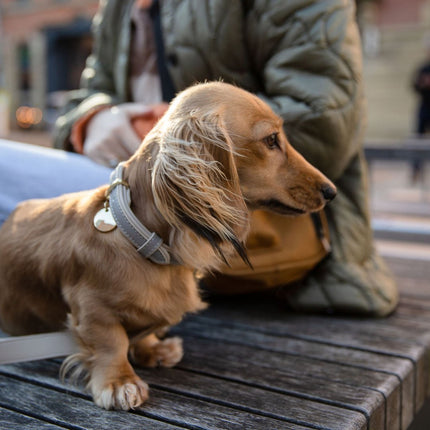 Collar - Vegan Leather - London