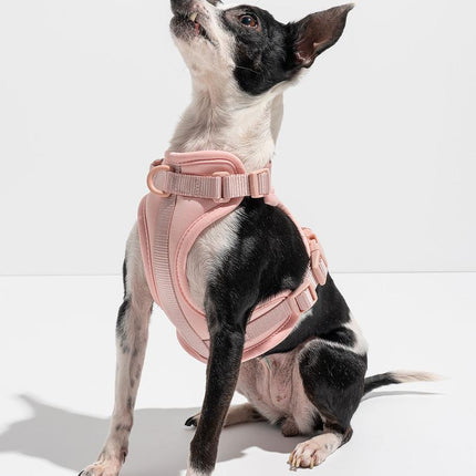 Luxe Harness - Hibiscus