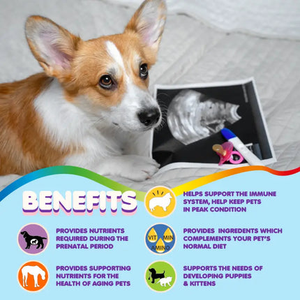 Multivitamin for Dogs & Cats. Prenatal Vitamins