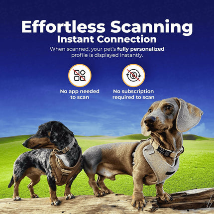 HeyBuddy Slide Series QR Code Smart Pet Tag Stainless Steel Blue