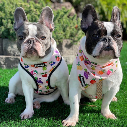 Frootie Patootie Reversible Harness