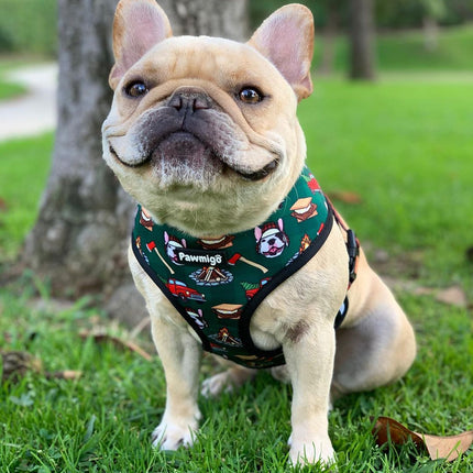 Lumbersnack Reversible Harness