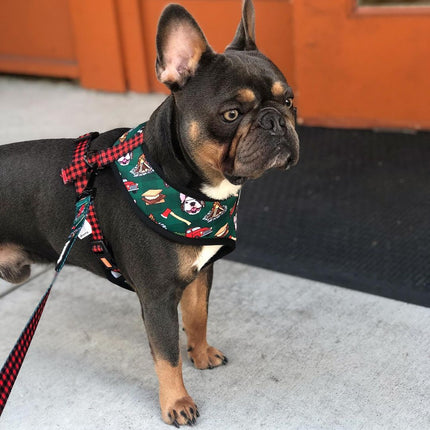 Lumbersnack Reversible Harness