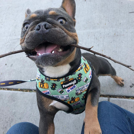 Muddy Paws Reversible Harness