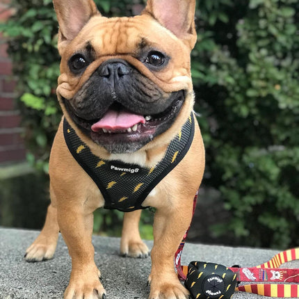 Pawgwarts Reversible Harness