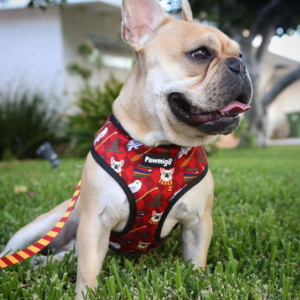 Pawgwarts Reversible Harness