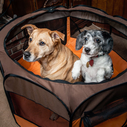 Pet Life ® 'All-Terrain' Lightweight Easy Folding Wire-Framed Collapsible Travel Pet Dog Playpen crate