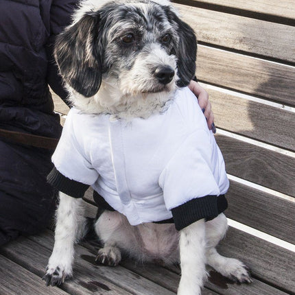 Pet Life ® Aspen Winter-White 3M Insulated Fashion Pet Parka Dog Coat