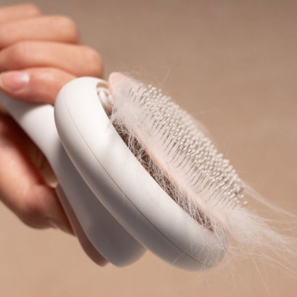 Pet Life ® 'Concepto' Modern Bristle Grooming Pet Deshedder Comb