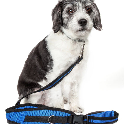 Pet Life ® 'Echelon' Hands Free and Convertible 2-In-1 Training Pet Dog Leash and Pet Belt Trainer