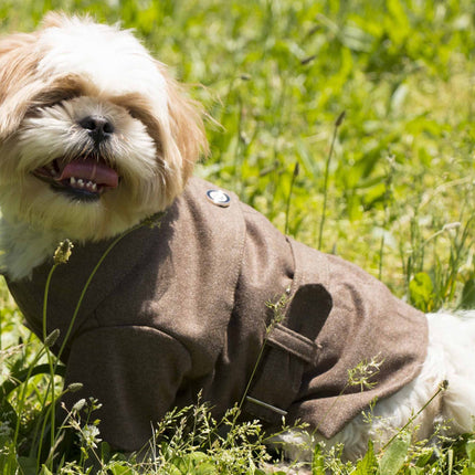 Pet Life ® 'Galore Back-Buckled' Fashion Wool Dog Jacket Coat