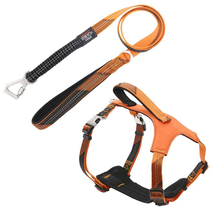 Pet Life ® 'Geo-prene' 2-in-1 Shock Absorbing Neoprene Padded Reflective Dog Leash and Harness
