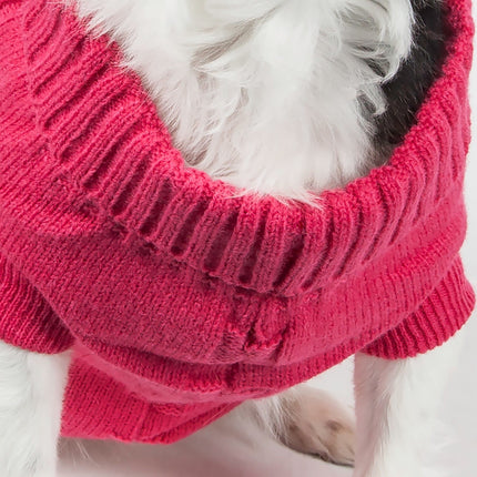 White dog wearing a red ribbed cotton fashion sweater, close-up on LITTLE PAW
