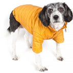 X-Small / Mustard Yellow