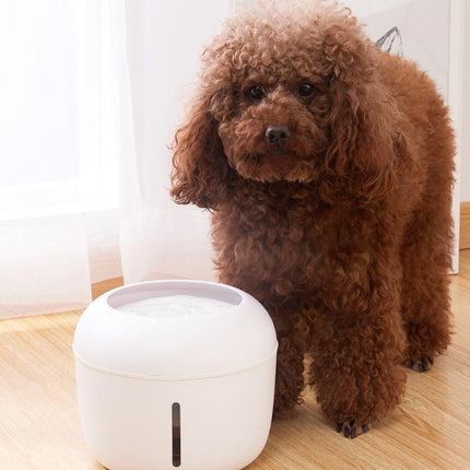 Pet Life ® 'Moda-Pure' Ultra-Quite Filtered Dog and Cat Fountain Waterer