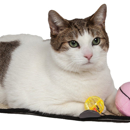 Pet Life ® 'Paw-Pleasant' Hanging Sisal & Jute Carpet Kitty Cat Scratcher with Toy