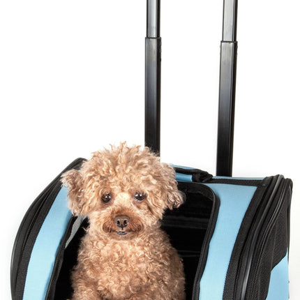 Pet Life ® 'Pawdon Me '  Wheeled Airline Approved Travel Collapsible Pet Dog Carrier