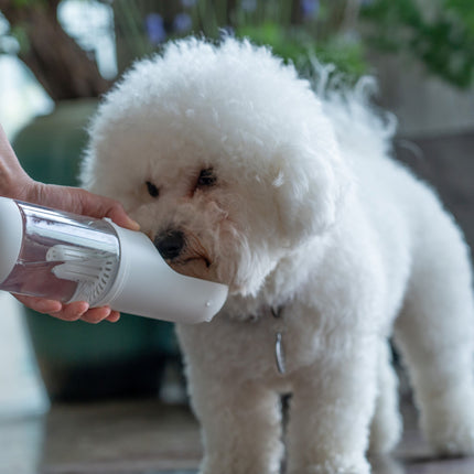 Pet Life ® 'PYURE' Handheld Travel Filtered Water Feeder