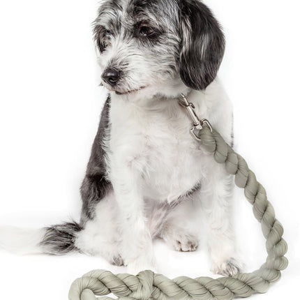 Pet Life ® 'Tough-Tugger' Industrial-Strength Shock Absorption Woven Pet Dog Leash