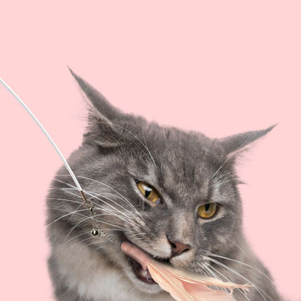 Pet Life ® 'Wander-cat' Customizeable and Extendable 10-in-1 Attachment Laser Cat Teaser